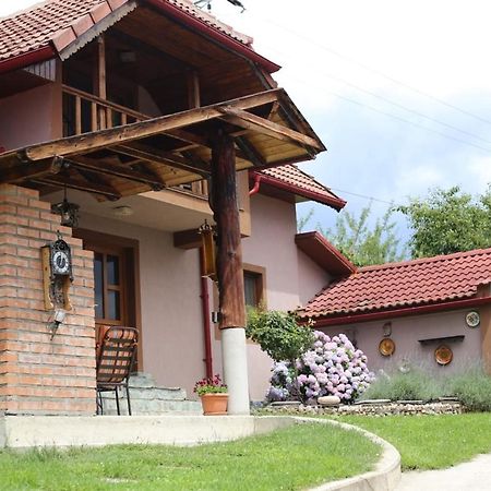 Casa Darius Villa Novaci-Straini Luaran gambar