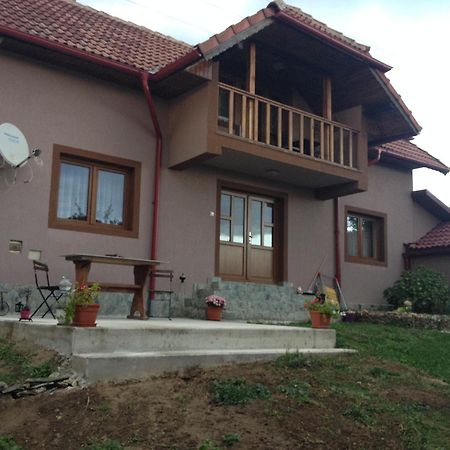 Casa Darius Villa Novaci-Straini Luaran gambar