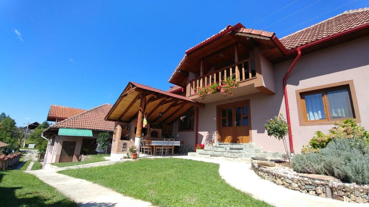 Casa Darius Villa Novaci-Straini Luaran gambar