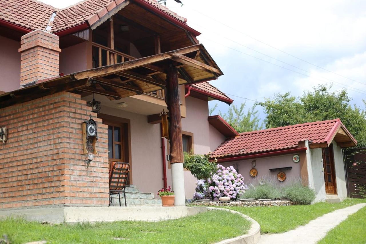 Casa Darius Villa Novaci-Straini Luaran gambar
