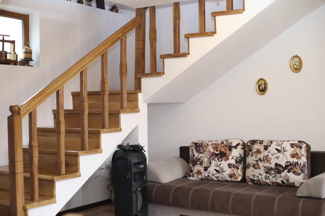 Casa Darius Villa Novaci-Straini Luaran gambar