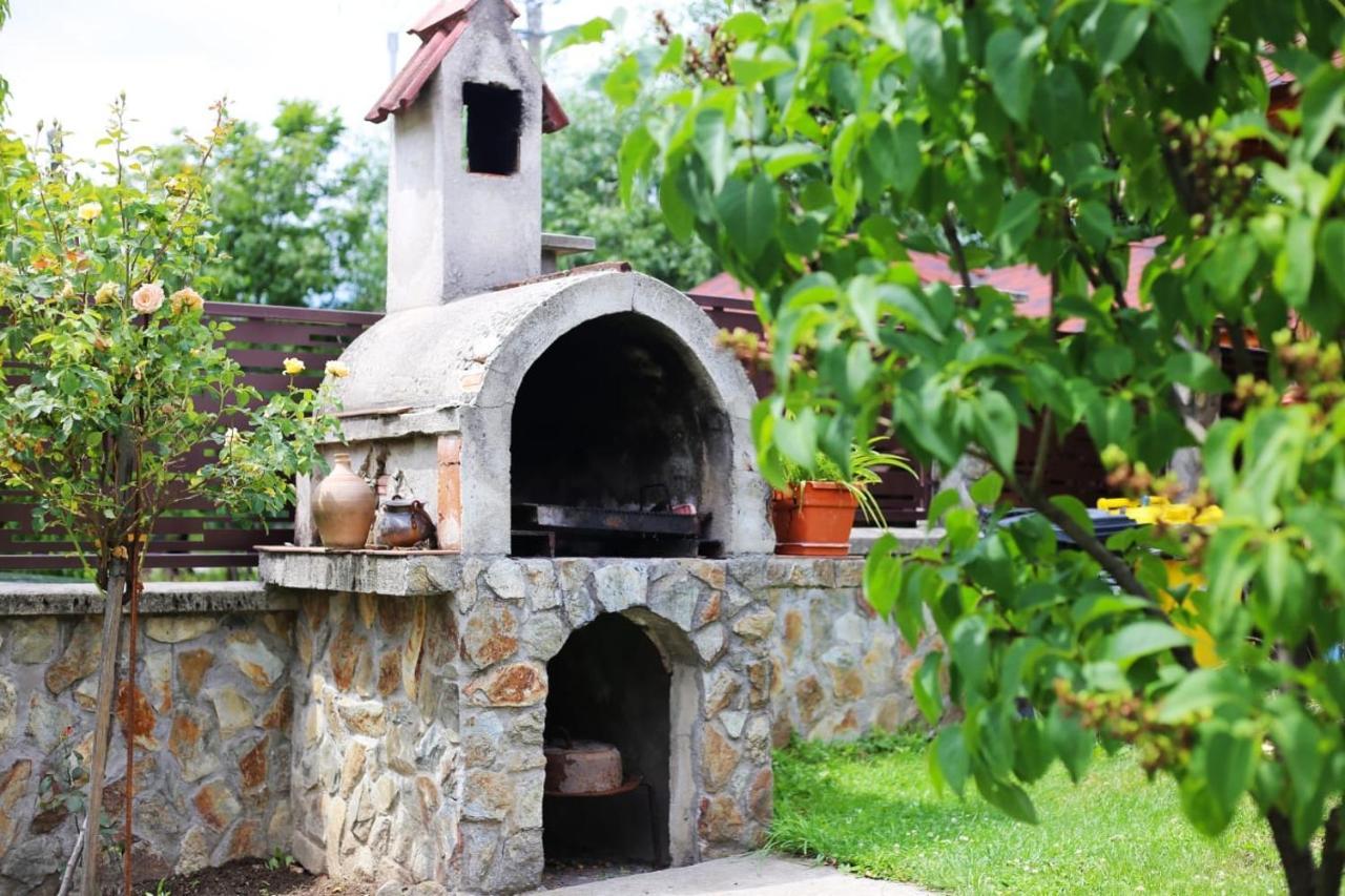 Casa Darius Villa Novaci-Straini Luaran gambar