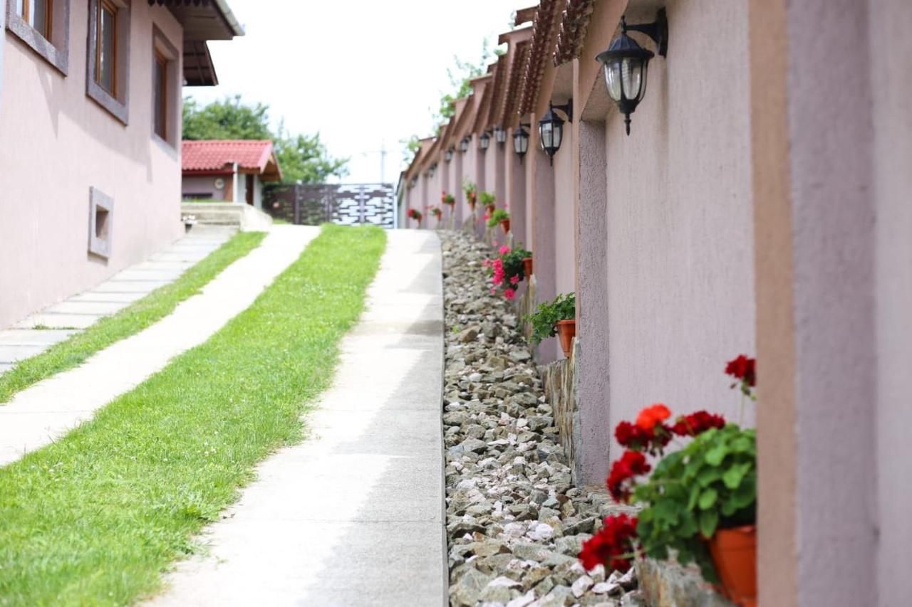 Casa Darius Villa Novaci-Straini Luaran gambar
