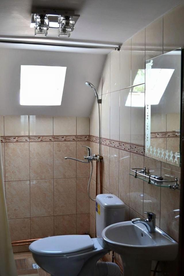 Casa Darius Villa Novaci-Straini Luaran gambar