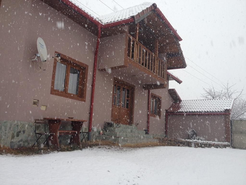 Casa Darius Villa Novaci-Straini Luaran gambar